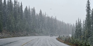 在班夫国家公园的松林里，一辆汽车在大雪中行驶在高速公路上