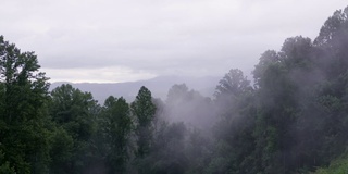 浓雾滚滚进入大烟山。