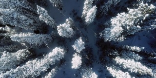 空中雪冬森林