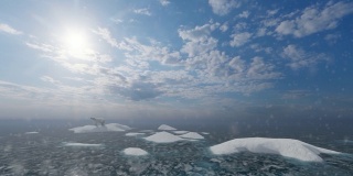 北极熊在冰面上，多雪的天气和太阳在上面