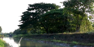 宁静的河流时刻与绿色的自然在乡村