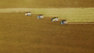 鸟瞰图联合收割机在稻田作业。视频素材模板下载