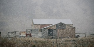 聚焦架拍摄的谷仓满山羊在前景大雪，冰岛