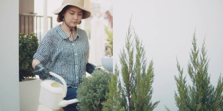 年轻的亚洲女人浇她的植物在可爱的草药花园在家里。