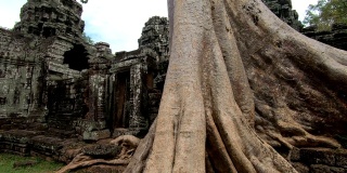 柬埔寨暹粒的Prasat Ta prohm寺庙
