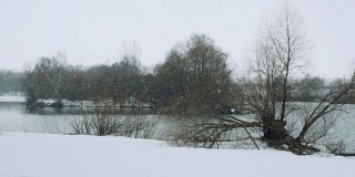 雪花飘落在美丽的灰色冬日风景上