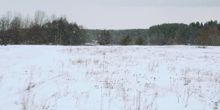 雪花飘落在美丽的灰色冬日风景上