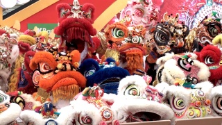 一群中国狮子在农历新年庆祝活动中表演。视频素材模板下载