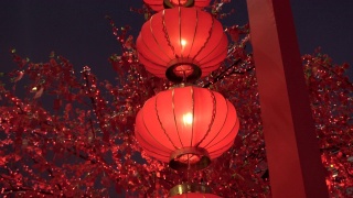 中国新年期间的纸灯笼。视频素材模板下载