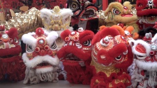 一群中国狮子在农历新年庆祝活动中表演。视频素材模板下载