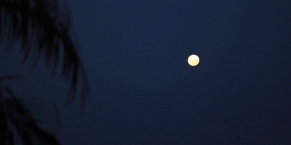 满月升起的时间圈视频黎明到夜晚升起的月亮