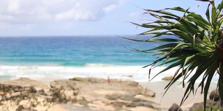 热带海滩与棕榈树海洋夏季海浪风景景观澳大利亚