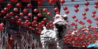 春节期间一群中国狮子表演。