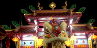 中国舞狮表演