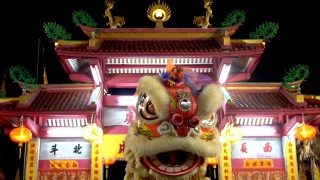 中国舞狮表演视频素材模板下载