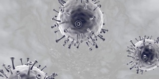 冠状病毒 - 科维德-19
