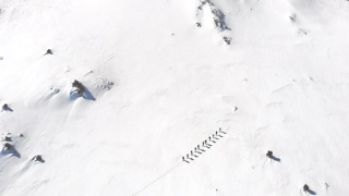 冬季高山登山队在高海拔山峰上排成一行行走的镜头视频素材模板下载