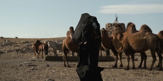 美女民族黑衣，阿拉伯长袍，草原骆驼，沙漠