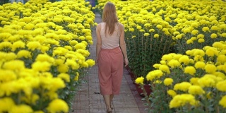 一名年轻女子走在东亚人为庆祝农历新年种植的大量黄花中。亚洲之旅的概念。Slowmotion视频