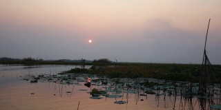 泰国那空沙旺省，Bueng Borapet湖上的日落。