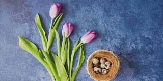 在深蓝色背景的郁金香旁边，手拿装有复活节彩蛋的篮子。复活节节日装饰，复活节概念背景。