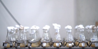 生物实验室在离心机中分离液体细胞培养样品的实验