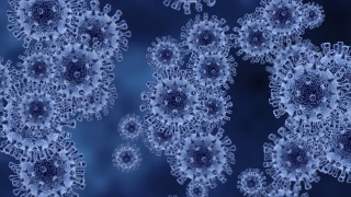 冠状病毒或新型冠状病毒2019-nCoV细胞和流行视频素材模板下载