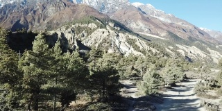 一条穿过尼泊尔喜马拉雅山马南谷森林的小路。安纳普尔纳的尖峰和贫瘠的山峰在后面。安纳普尔纳峰电路长途跋涉。大自然的美。尘土飞扬的道路。