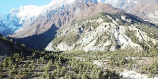 这张照片拍摄于尼泊尔喜马拉雅山脉的Manang山谷的茂密森林。安纳普尔纳的尖峰和贫瘠的山峰在后面。部分被雪覆盖。安纳普尔纳峰电路长途跋涉。大自然的美