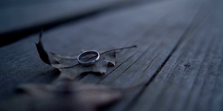 叶子上的结婚戒指