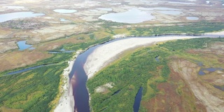 4K视频从鸟瞰。北极圈，苔原，飞越森林苔原和河流。森林苔原和沙质河岸景观。