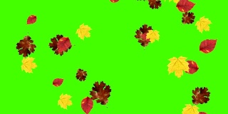 秋叶落环，绿屏色键