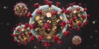 真实的宏核冠状病毒细胞在活的生物体中扩散和漂浮。概念全球健康警告恐慌传播感染。Covid-19疫情。孤立的冠状病毒
