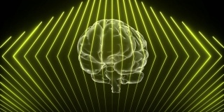 3d大脑动画和霓虹灯效果，创意动画。无限loopable。