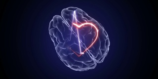心脏脉搏和大脑动画3d。医学和科学。心跳的背景。