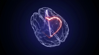 心脏脉搏和大脑动画3d。医学和科学。心跳的背景。视频素材模板下载