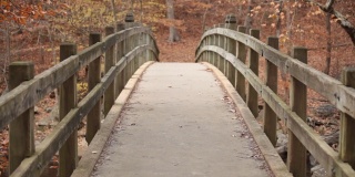 急流桥，遛狗的步道背景-石溪公园-华盛顿特区-秋天