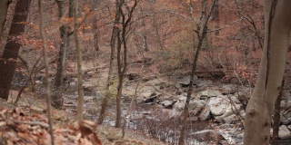 岩石溪从山谷小径看到-岩石溪公园-华盛顿特区-秋天