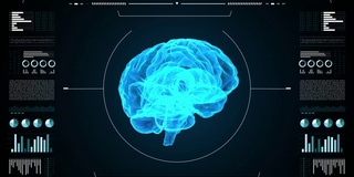 医用超高清抽象动画。实验室仪表板界面。人脑在诊断电脑显示器上的研究。