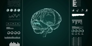 医用超高清抽象动画。实验室仪表板界面。人脑在诊断电脑显示器上的研究。
