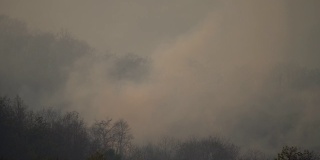 白色烟雾从燃烧的森林大火，野火