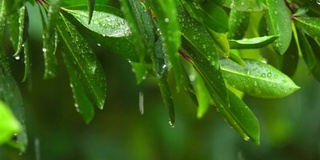 雨天的风景