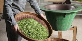 中国绿茶，手工茶场景