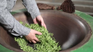中国绿茶，手工茶场景视频素材模板下载