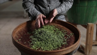 传统炒茶，中国绿茶泡制视频素材模板下载