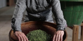 传统炒茶，中国绿茶泡制