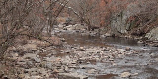 岩石溪，看下游-岩石溪公园-华盛顿特区-秋天