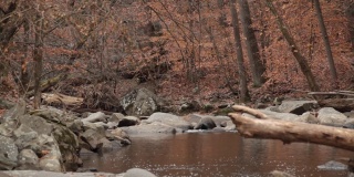 石溪，没有人-石溪公园-华盛顿特区-秋天