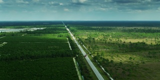 分隔弗罗里达州弗雷德·巴布科克/塞西尔·m·韦伯野生动物管理区和橙林的道路
