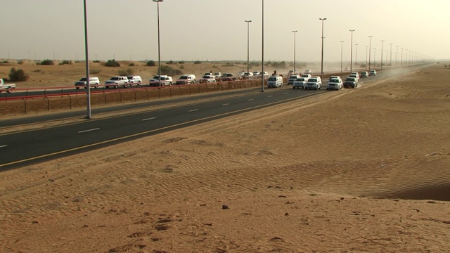 骆驼赛跑,阿联酋